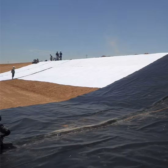 White Color One Membrane Two Geotextile Composite Geomembrane