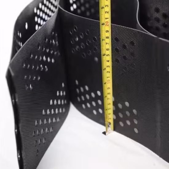 Geocella in plastica HDPE di alta qualità