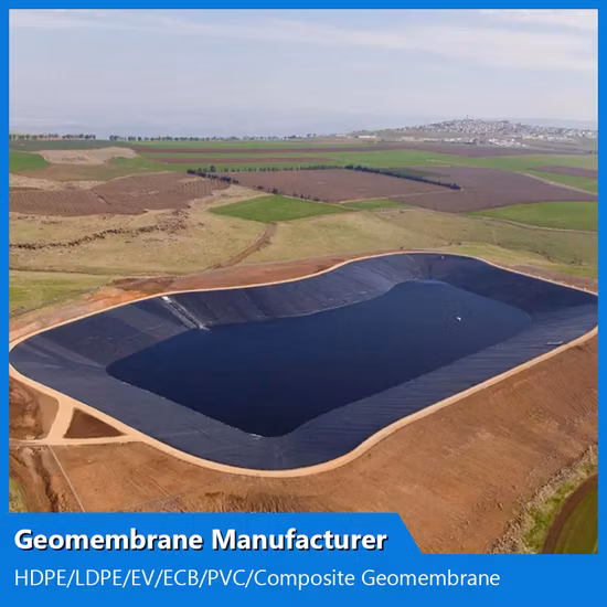 Produttore personalizzato di geomembrane testurizzate/composite in HDPE/LDPE/PE/EV/BCE/PVC per acquacoltura/allevamento ittico/gamberetti/stagno/diga/discarica/estrazione mineraria/sale/rivestimento di coda