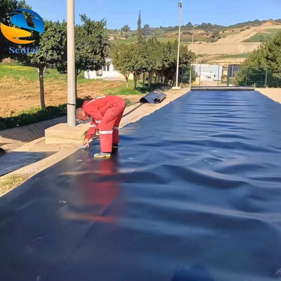 Membrana in HDPE utilizzata per il rivestimento dello stagno