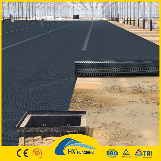 Fodera in foglio di plastica nera da 0,2 mm/0,5 mm/1,0 mm/2,0 mm Geomembrana in HDPE impermeabilizzante CE/ASTM Viring per progetti di agricoltura/diga/discarica/lago/biogas/acquacoltura