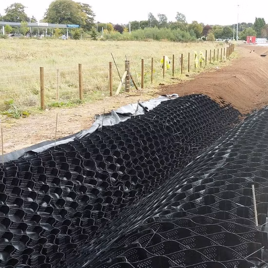 Prodotti per lavori di sterro Geocelle in HDPE per stabilizzatore del terreno del vialetto di sostegno del muro di sostegno