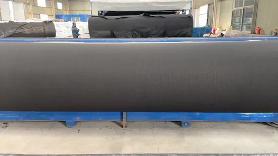Prezzo di fabbrica HDPE Cina Materiale da costruzione Bordo Compositi Tappetino composito Geonet di drenaggio